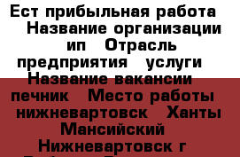 Ест прибыльная работа!  › Название организации ­ ип › Отрасль предприятия ­ услуги › Название вакансии ­ печник › Место работы ­ нижневартовск - Ханты-Мансийский, Нижневартовск г. Работа » Вакансии   . Ханты-Мансийский,Нижневартовск г.